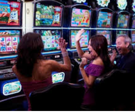 333体育2024最新版